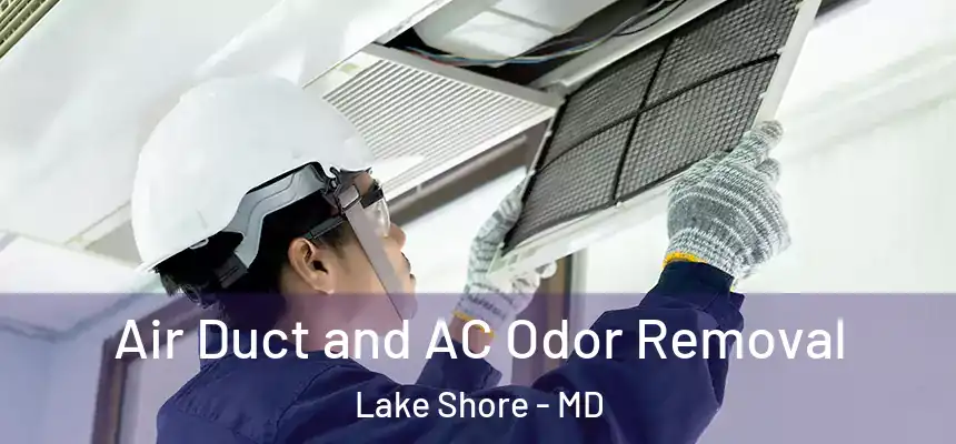 Air Duct and AC Odor Removal Lake Shore - MD