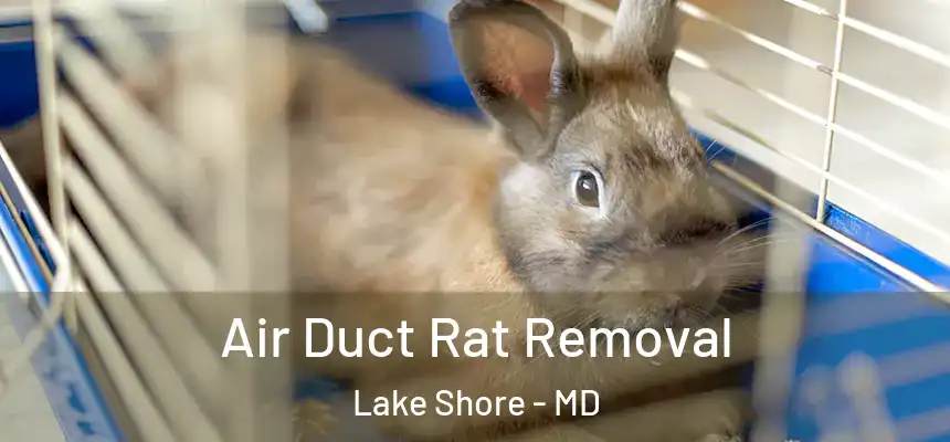  Air Duct Rat Removal Lake Shore - MD