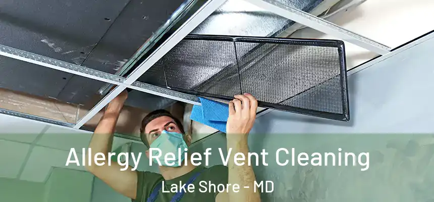 Allergy Relief Vent Cleaning Lake Shore - MD
