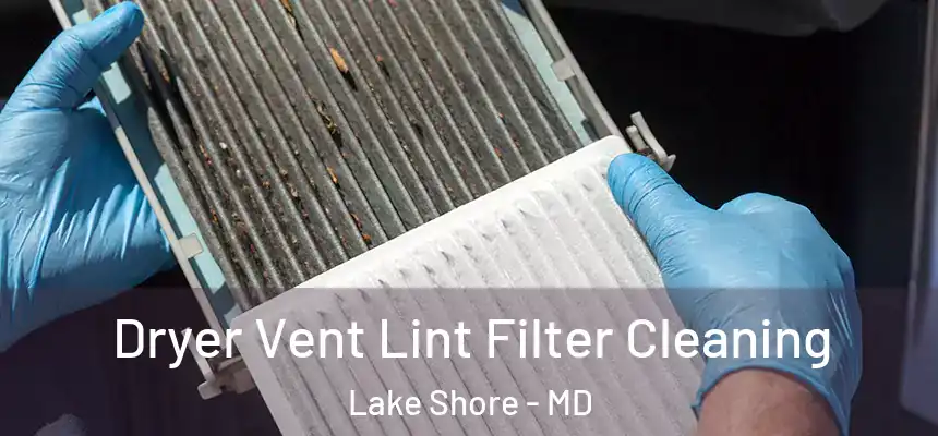  Dryer Vent Lint Filter Cleaning Lake Shore - MD