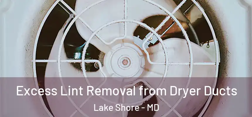  Excess Lint Removal from Dryer Ducts Lake Shore - MD
