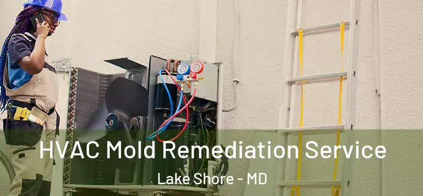  HVAC Mold Remediation Service Lake Shore - MD