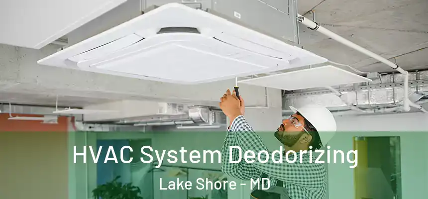 HVAC System Deodorizing Lake Shore - MD