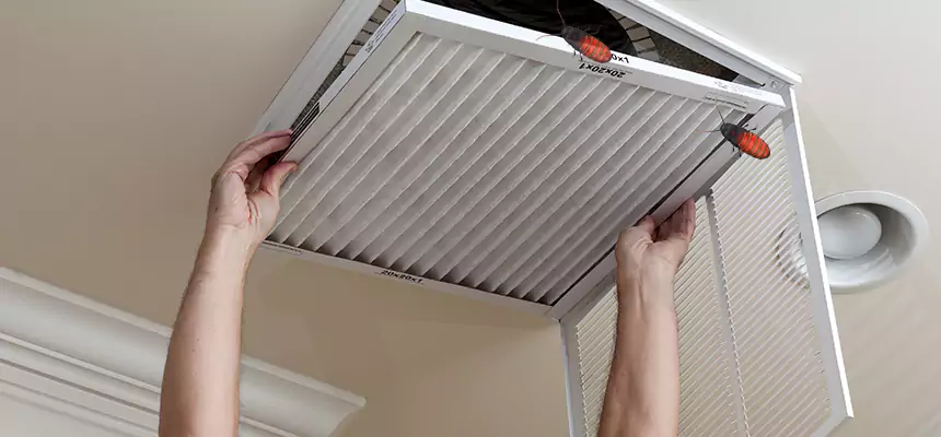 Preventive Cockroach-Proofing for Ducts in Lake Shore