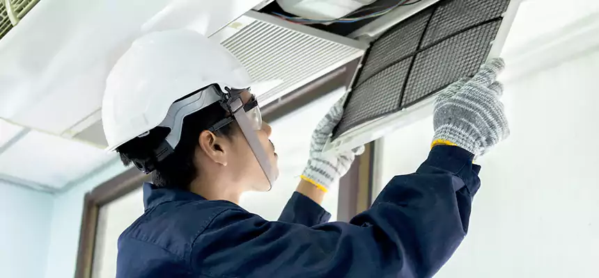 Our Mold & Mildew Removal from Air Ducts Services in Lake Shore, MD