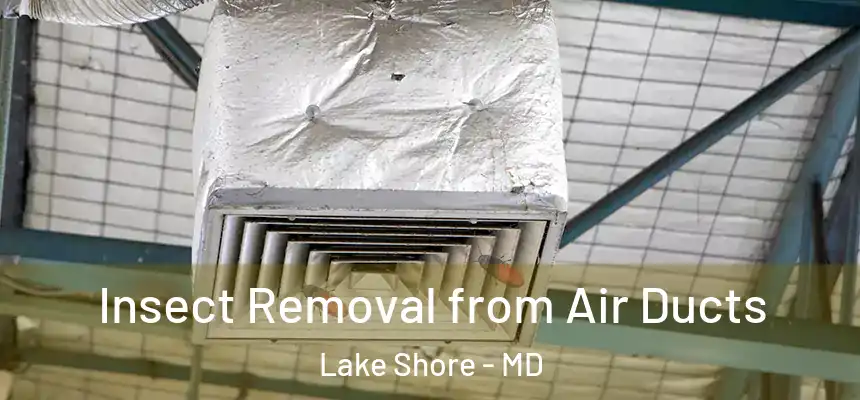  Insect Removal from Air Ducts Lake Shore - MD
