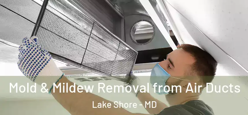  Mold & Mildew Removal from Air Ducts Lake Shore - MD