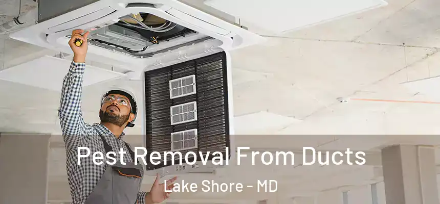 Pest Removal From Ducts Lake Shore - MD