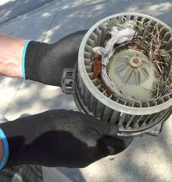 About Air Duct Mice Removal in Lake Shore, MD