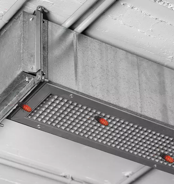 Affordable Insect Removal from Air Ducts in Lake Shore, MD