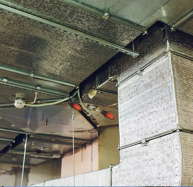 Why Homeowners & Businesses Trust Us in Lake Shore, MD?