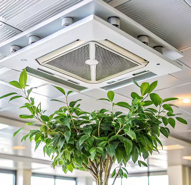 Why Homeowners & Businesses Trust Us in Lake Shore, MD